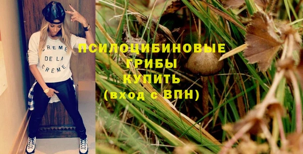 apvp Алексин