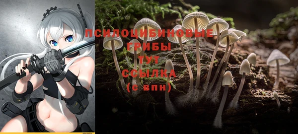 apvp Алексин