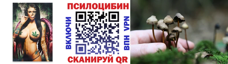 mega ССЫЛКА  где можно купить   Себеж  Псилоцибиновые грибы Cubensis 
